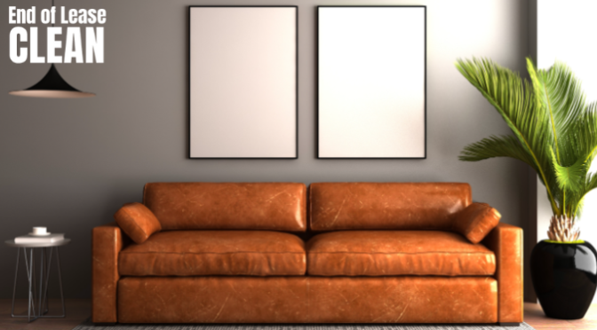 Commercial Upholstery Cleaning: Extending the Life of Your Furniture Investments